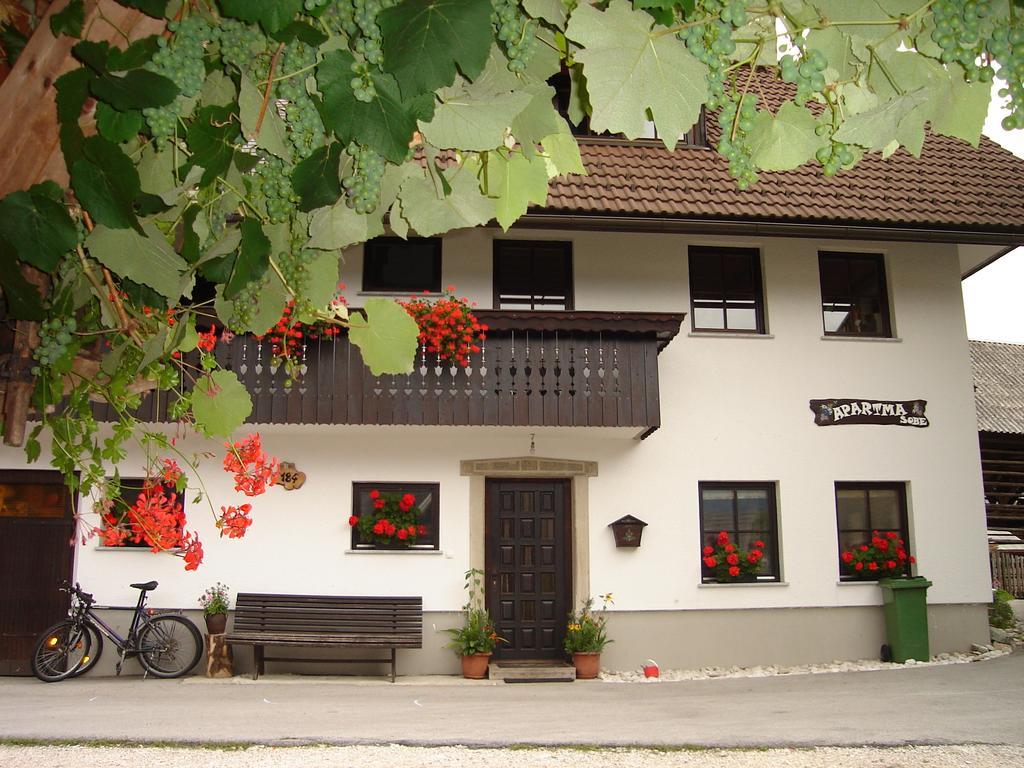 Apartment Cesar Bohinj Exteriör bild