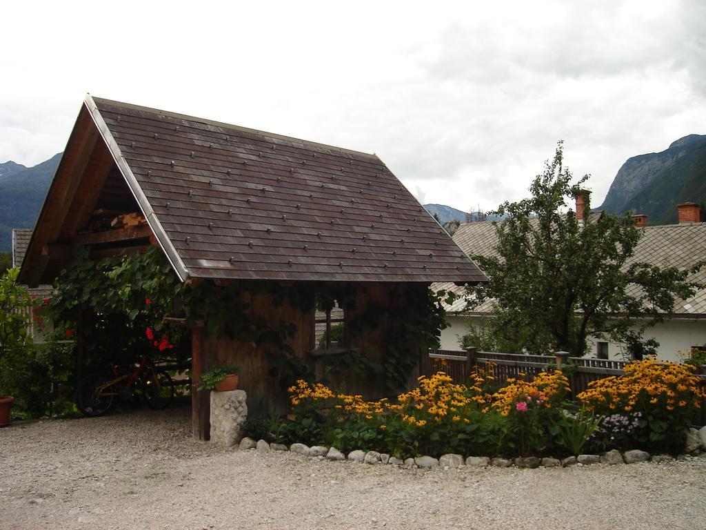 Apartment Cesar Bohinj Rum bild